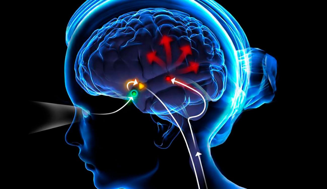 Pineal Gland Activation